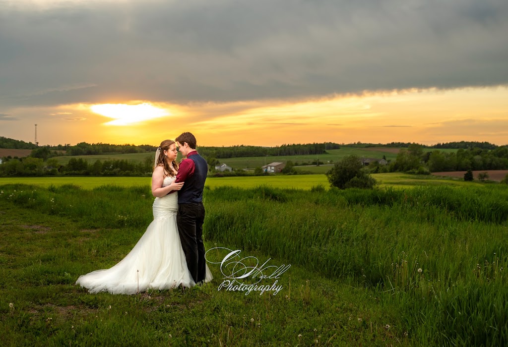 Christina Wall Photography | 880 Findley Rd, Upper Kennetcook, NS B0N 2L0, Canada | Phone: (902) 957-0790