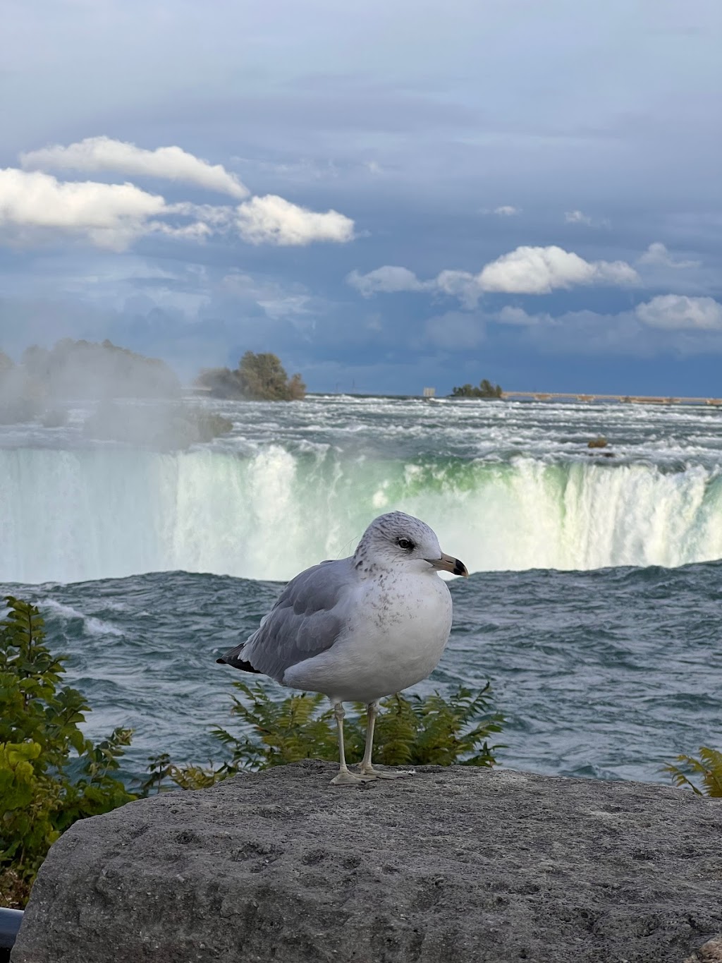Currents: Niagaras Power Transformed | 7005 Niagara River Pkwy, Niagara Falls, ON L0S 1A0, Canada | Phone: (877) 642-7275