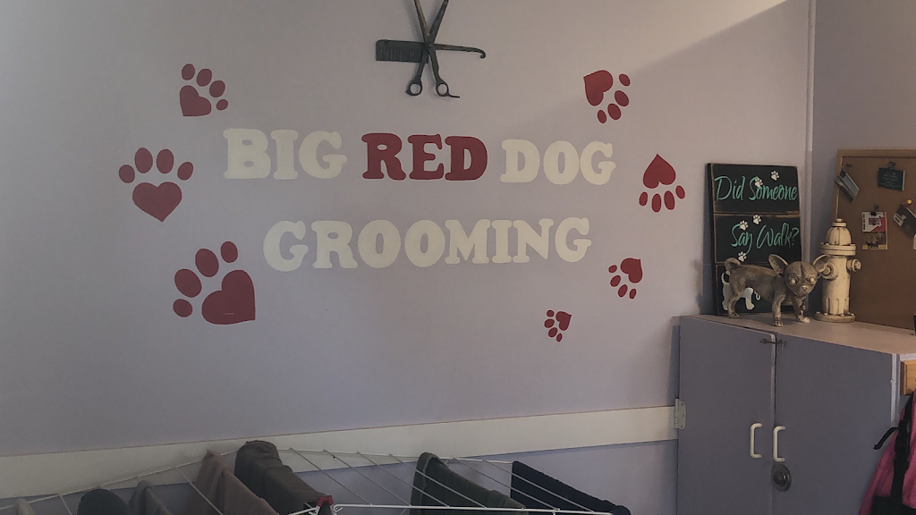 Big Red Dog Grooming | 1016 Keith Rd, Sherwood Park, AB T8A 1G3, Canada | Phone: (780) 819-7894