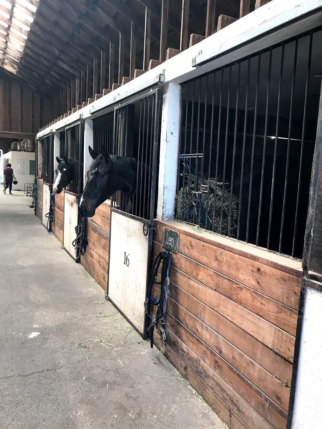 Greystone Stables | 6087 64 St, Delta, BC V4K 4E2, Canada | Phone: (604) 946-1740