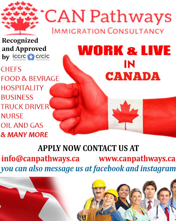 CAN Pathways Immigration Consultancy | Cornerstone Way NE, Calgary, AB T3N 1J9, Canada | Phone: (403) 888-5308