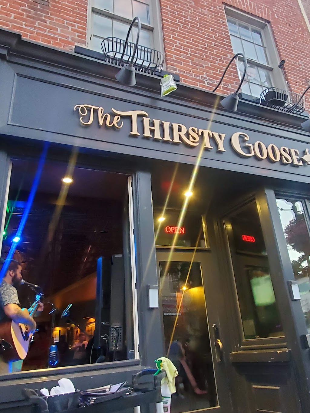 The Thirsty Goose | 63 Walton St #63, Port Hope, ON L1A 1N2, Canada | Phone: (905) 800-0338