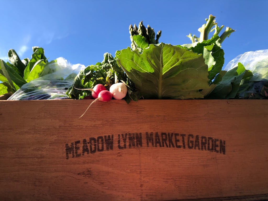 Meadow Lynn Market & CSA | 80 Decou Rd, Simcoe, ON N3Y 4K2, Canada | Phone: (226) 567-5833