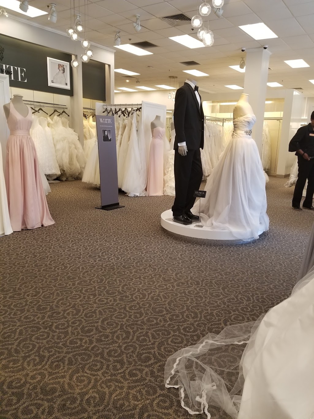 Davids Bridal | 1900 Eglinton Ave E B5, Scarborough, ON M1L 2L9, Canada | Phone: (416) 751-8775