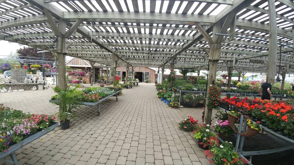 Acer Garden Ctr | 591 Fiddlers Green Rd, Ancaster, ON L9G 3L1, Canada | Phone: (905) 648-2200