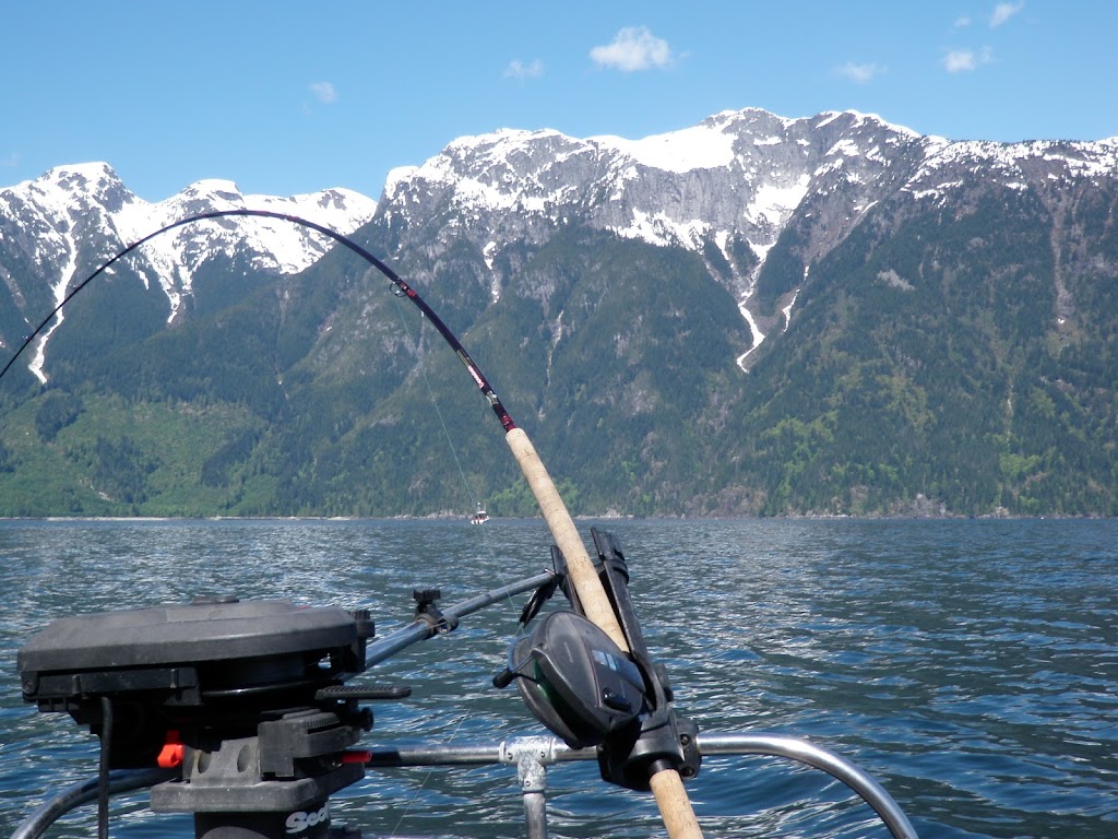 Cortes Fishing Adventures | Sutil Point Rd, Mansons Landing, BC V0P 1K0, Canada | Phone: (250) 287-0408