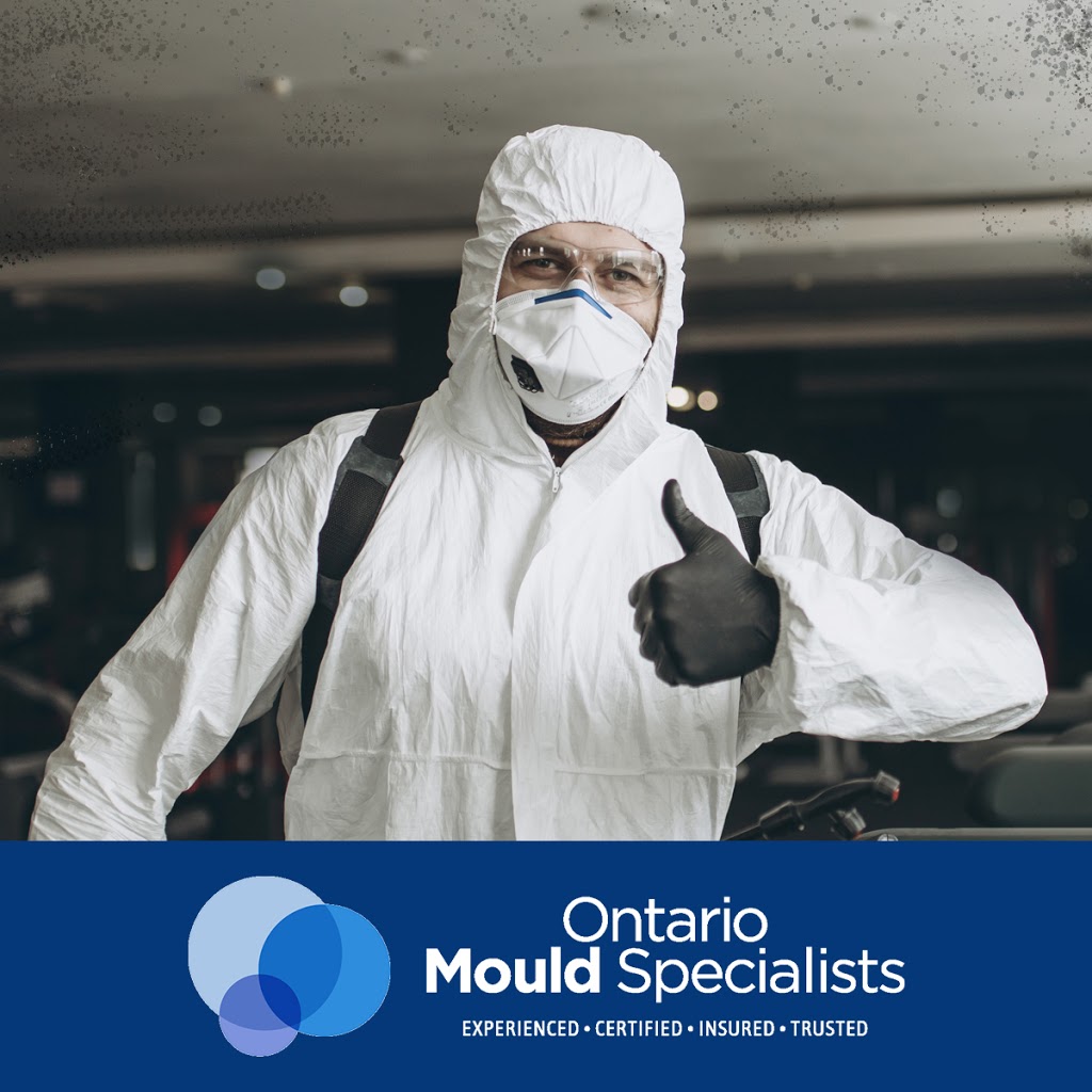 Ontario Mould Specialists | 11656 Plank Rd, Eden, ON N0J 1H0, Canada | Phone: (855) 667-4968