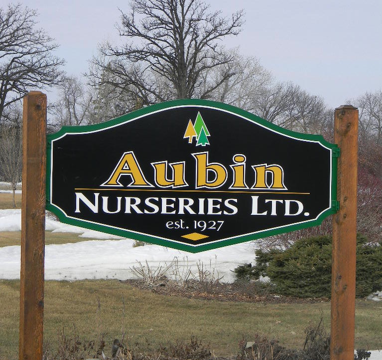 Aubin Nurseries Ltd | 1 & 1/2 miles east of Carman on Hwy #3 Municipal Civic Address: 22101, Carman, MB R0G 0J0, Canada | Phone: (204) 745-6703