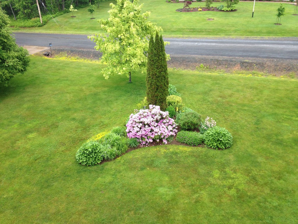 Rooted Landscaping and Tree Removal | 7096 Nova Scotia Trunk 1, Coldbrook, NS B4R 1C1, Canada | Phone: (902) 670-7104