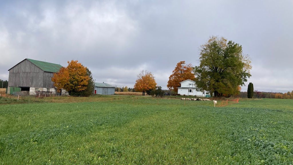 Meadow Song Acres | 8205 Line, 6, Kenilworth, ON N0G 2E0, Canada | Phone: (519) 998-8590