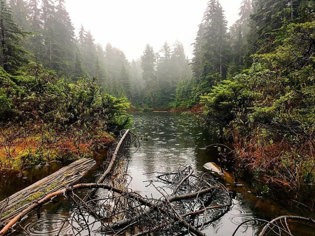 Blue Gentian Lake | West Vancouver, BC V0N 1G0, Canada