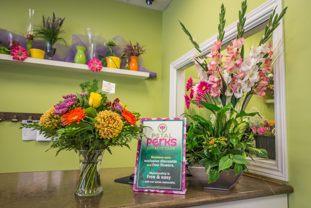 Forest of Flowers | 2400 Dundas St W #3, Mississauga, ON L5K 2R8, Canada | Phone: (905) 916-2424