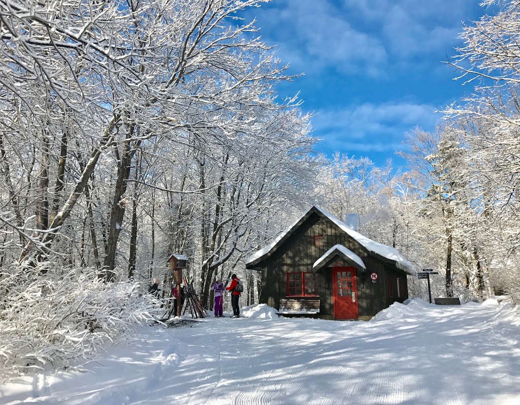 Huron Shelter | Trail 1, Chelsea, QC J9B 1H9, Canada | Phone: (819) 827-2020