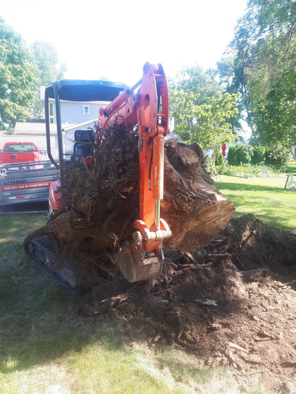 Lupenette Tree Service | 149 Lingham St, Belleville, ON K8N 3T3, Canada | Phone: (343) 645-6703