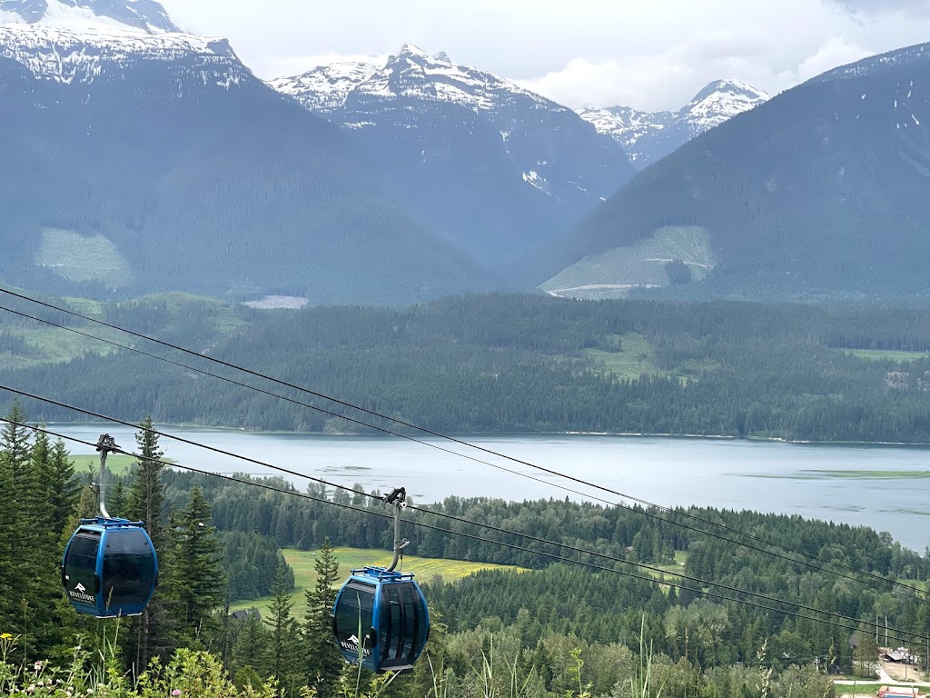 Revelstoke Community Forest Corporation | 4000 Highway 23rd North, Revelstoke, BC V0E 2S0, Canada | Phone: (250) 837-5733