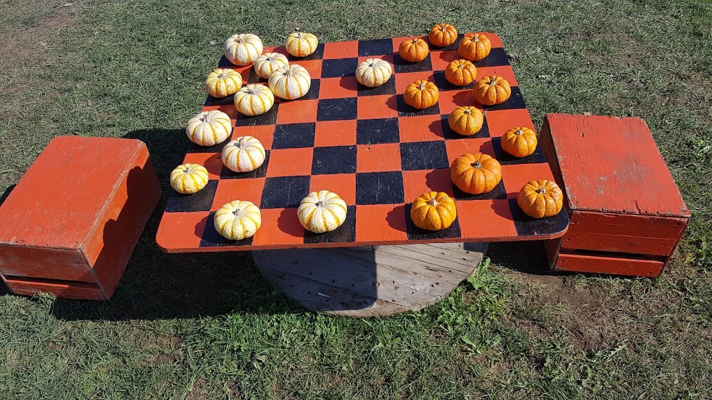 Allsop Farm Pumpkins & More | 195 Road 3 E, Kingsville, ON N9Y 2E5, Canada | Phone: (519) 733-2896