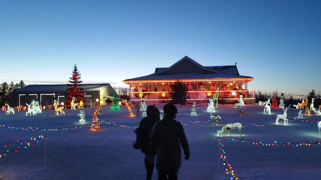 Leduc Country Lights | 25574 Township Rd 492, Leduc, AB T4X 2E7, Canada | Phone: (780) 721-9497