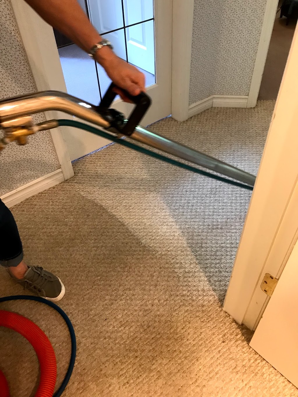 Only Way Cleaning Services (Carpet - Tile - Upholstery) | 19651 Wildwood Crescent S, Pitt Meadows, BC V3Y 1N6, Canada | Phone: (778) 829-4557