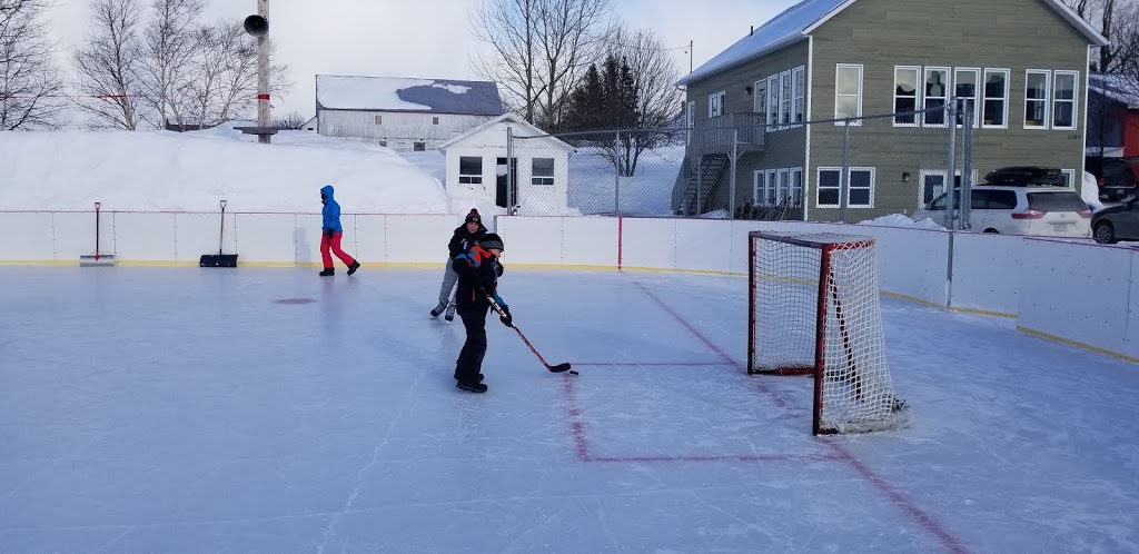 Patinoire municipale extérieure | 2387 Route du Fleuve, Les Éboulements, QC G0A 2M0, Canada | Phone: (418) 635-1026