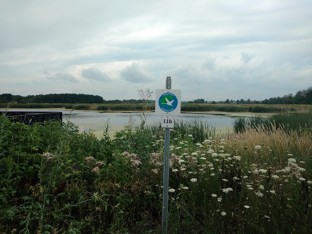 Port Rowan Restored Wetland | Norfolk County, ON N0E 1M0, Canada