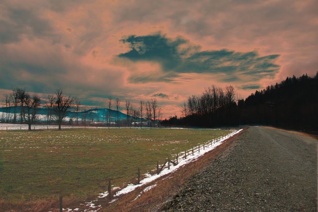 McKay Creek Park / Sumas Dyke Dog Off Leash Area | Mackay Creek Trail, Abbotsford, BC V3G 2H4, Canada