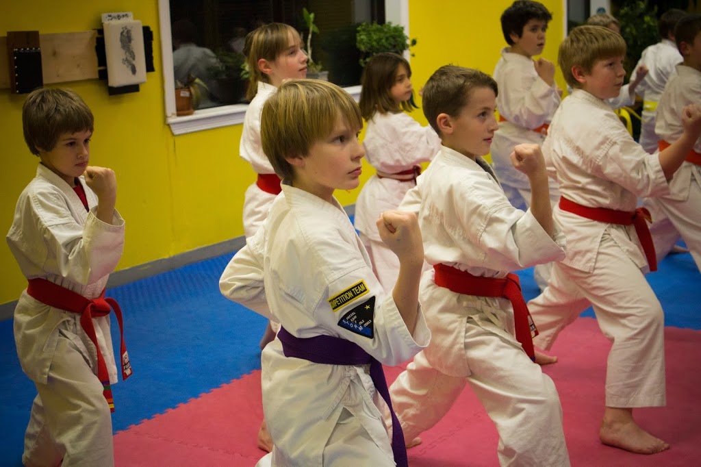 Driftwood Martial Arts Inc. | 1624 Highland Rd W #1, Kitchener, ON N2N 3K7, Canada | Phone: (519) 579-5656