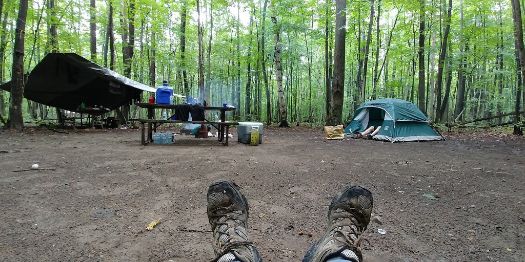 Bear Campground | Tiny, ON L9M 1R2, Canada | Phone: (705) 549-2231