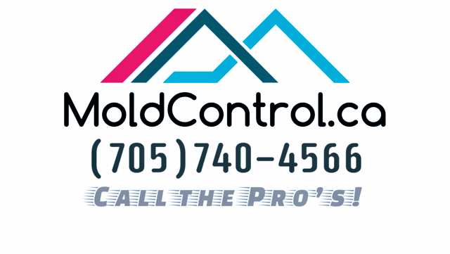 MoldControl Mold Removal Peterborough | 1708 Woodgrove Crescent, Peterborough, ON K9K 1N2, Canada | Phone: (705) 740-4566