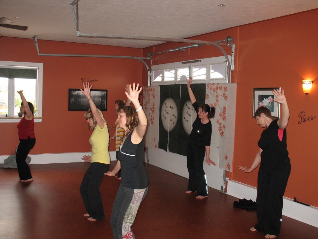 Zaandi Yoga Studio | 87 Concession 3 Rd, Fisherville, ON N0A 1G0, Canada | Phone: (905) 541-1315