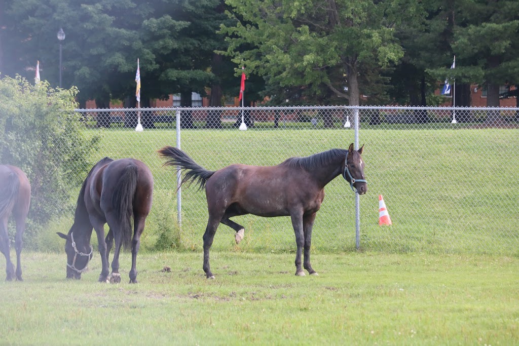 RCMP Stables | Sir George-Étienne Cartier Pkwy, Ottawa, ON K1K, Canada, Canada