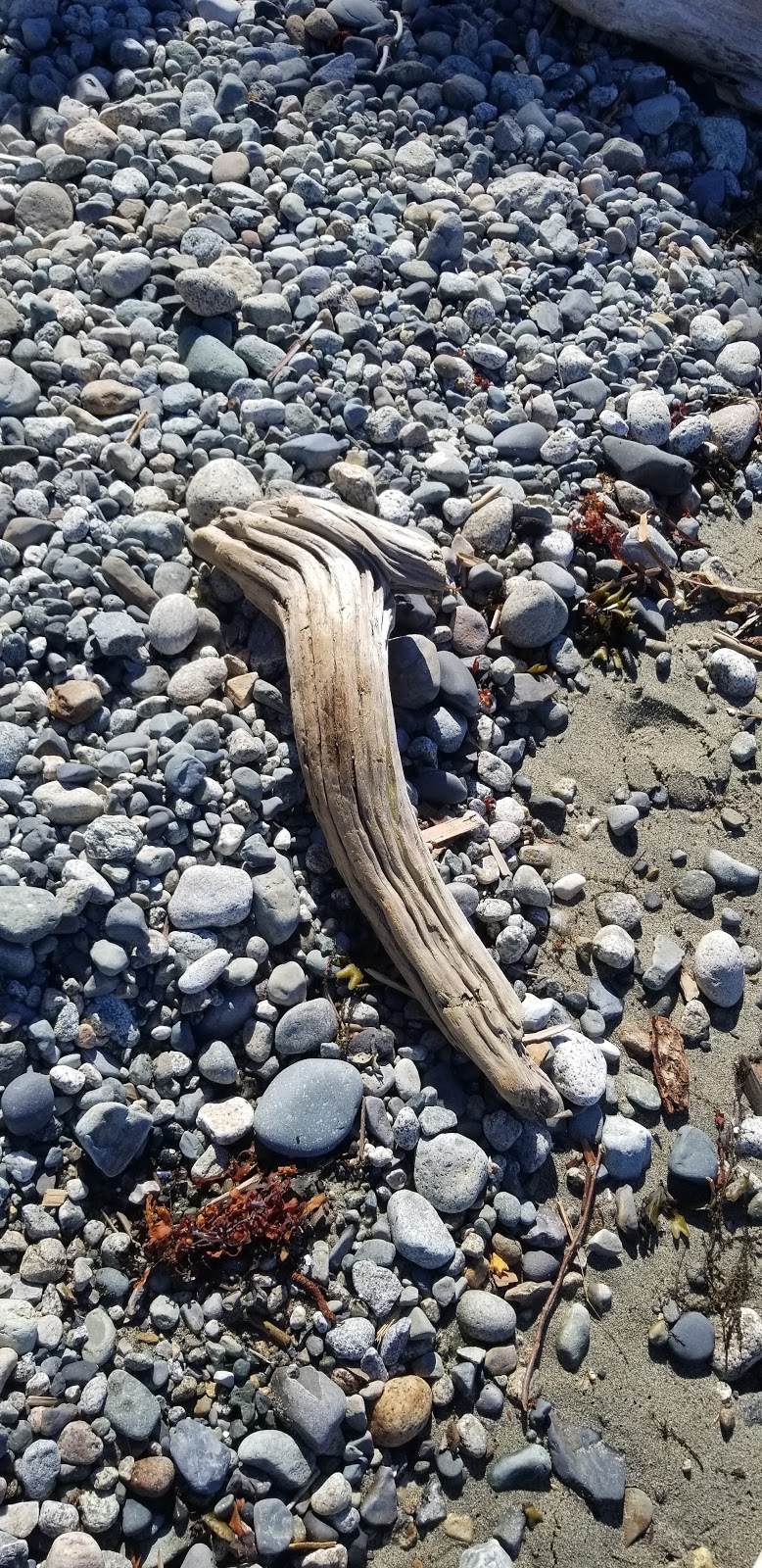 Bonniebrook Beach | Sunshine Coast E, BC, Canada