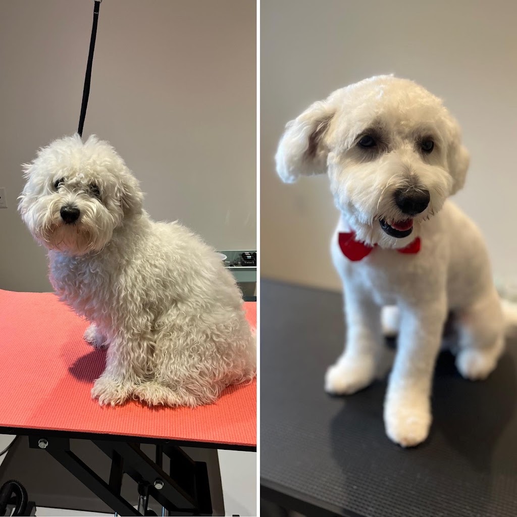 Cindy’s Place Small Dog Grooming | 20 Abbey Ln, Steinbach, MB R5G 2K2, Canada | Phone: (204) 380-3369