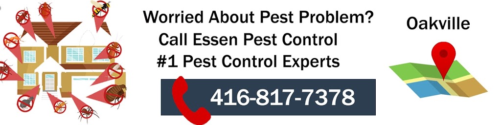Essen Pest Control | Toronto | GTA | 33 Seachart Pl Unit no. 2, Brampton, ON L6P 3E1, Canada | Phone: (416) 817-7378