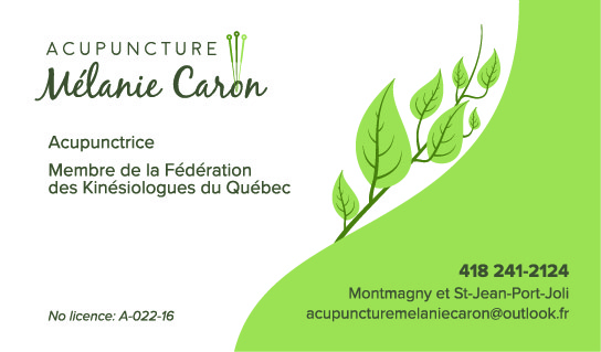 Acupuncture Mélanie Caron | 116 B Rue St Jean Baptiste O, Montmagny, QC G5V 3B9, Canada | Phone: (418) 241-2124