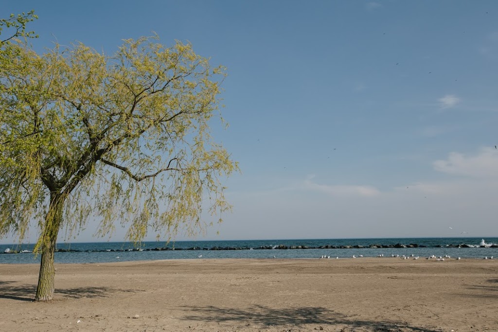 The Boat House | Centre Island Dock, Toronto, ON M5V 2H1, Canada | Phone: (416) 397-5166