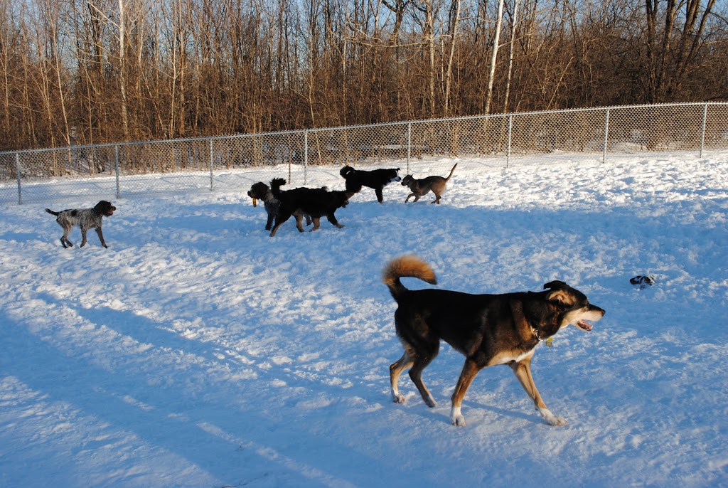 Beaconsfield Dog Park | 521 Av Elm, Beaconsfield, QC H9W 6E4, Canada