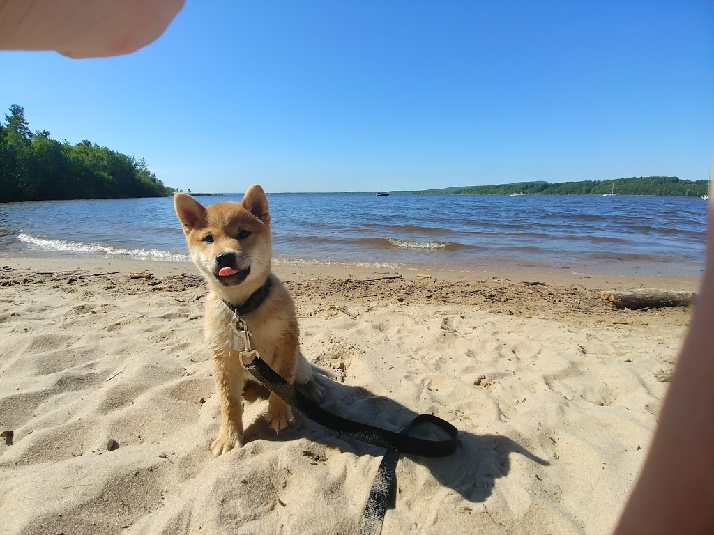 Sandy Beach | Hudson, QC - Oka, QC, Hudson, QC, Canada