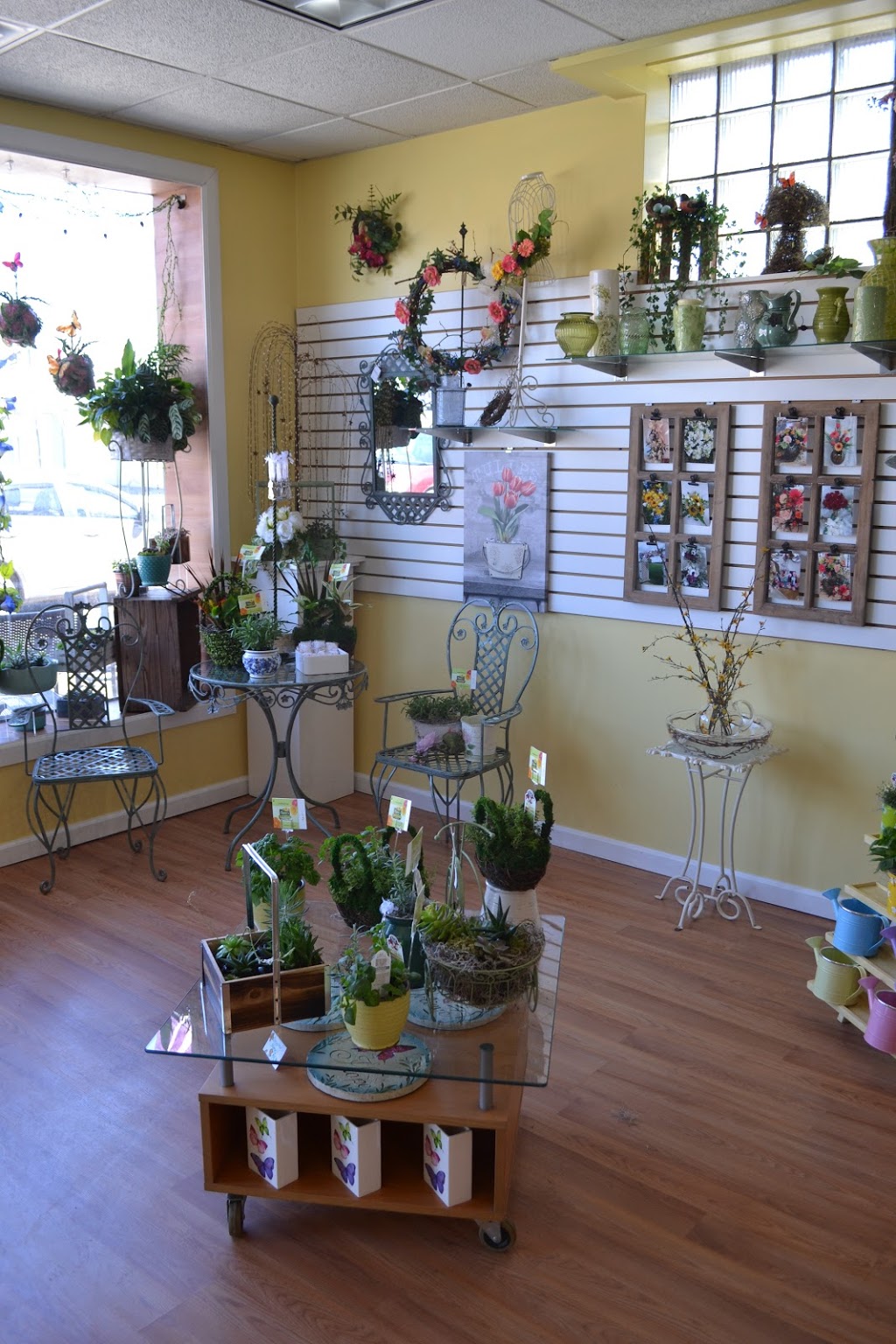 Elaines Flower Shoppe | 5100 Transit Rd, Depew, NY 14043, USA | Phone: (716) 681-4688