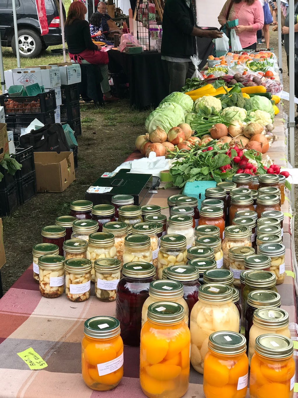 Celista Hall Farmers Market | 5456 Squilax-Anglemont Rd, Celista, BC V0E 1M6, Canada | Phone: (250) 955-2978