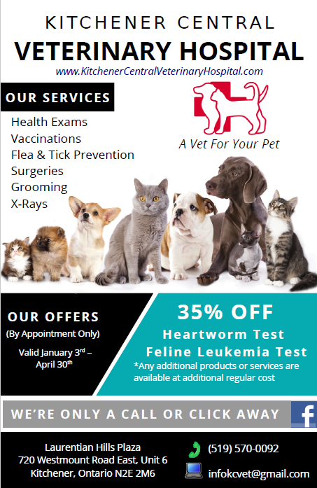 Kitchener Central Veterinary Hospital | 720 Westmount Rd E #6, Kitchener, ON N2E 2M6, Canada | Phone: (519) 570-0092