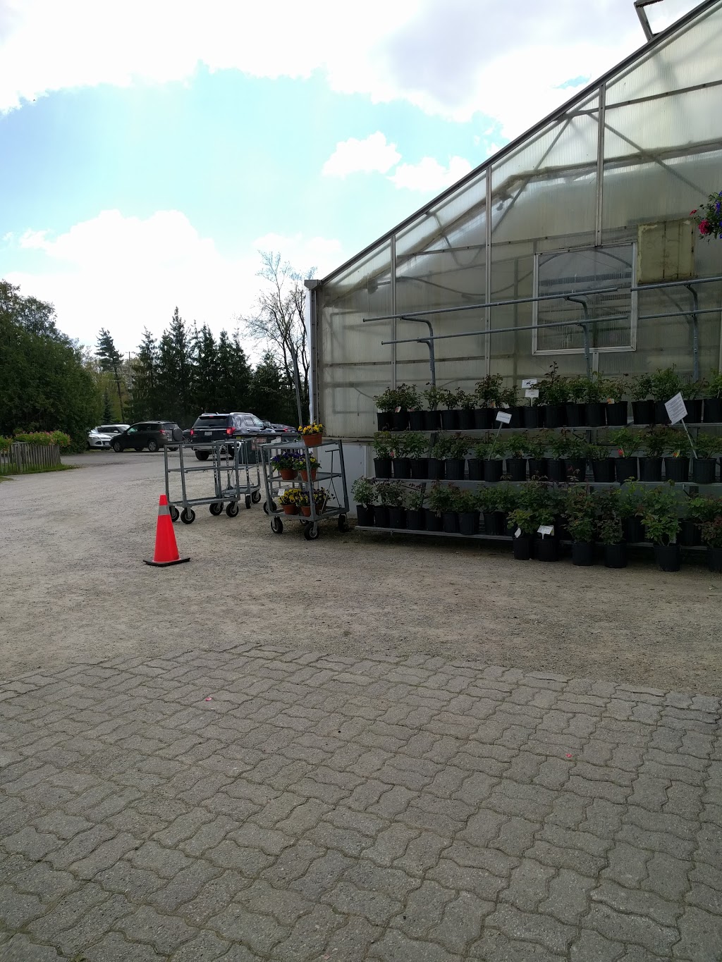 Haase Greenhouses Inc | 1724 Queen St W, Brampton, ON L6X 0B1, Canada | Phone: (905) 455-8416