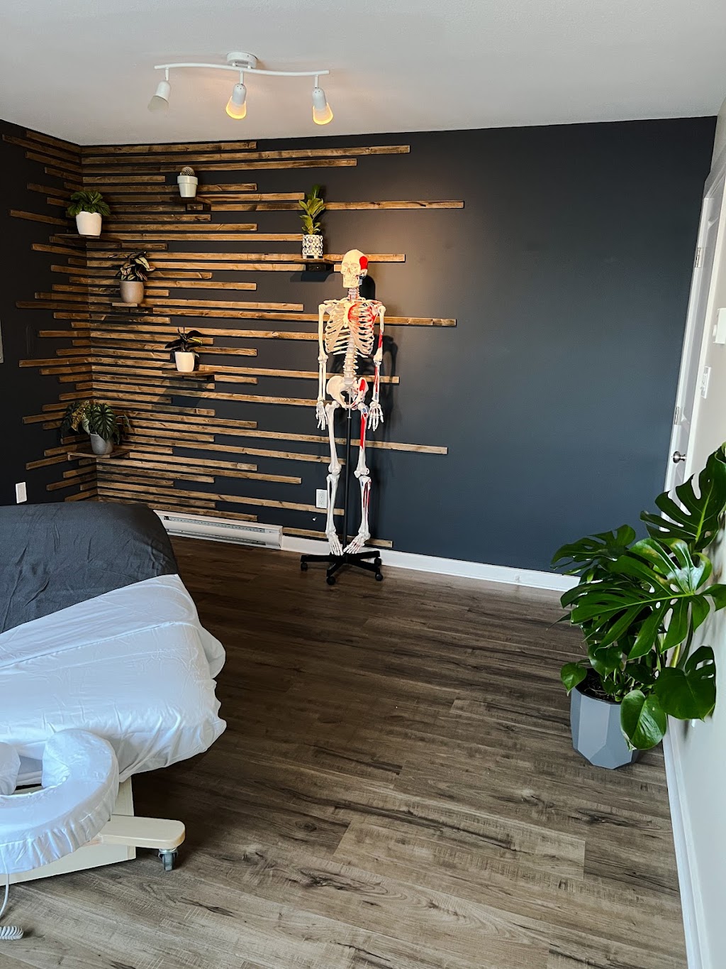 Velvaere Massage Therapy | 921D Fairdowne Rd, Parksville, BC V9P 0B2, Canada | Phone: (250) 616-2195