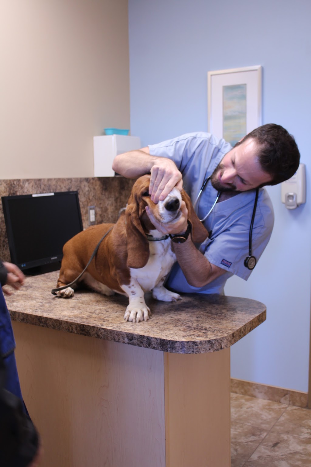Niagara Veterinary Emergency Clinic | 3300 Merrittville Hwy Unit 1A, Thorold, ON L2V 4Y6, Canada | Phone: (905) 641-3185