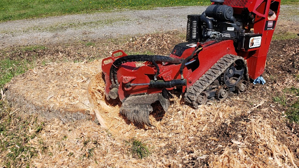 Woodchuck Stump Grinding | 111 King St E, Hagersville, ON N0A 1H0, Canada | Phone: (905) 531-0586