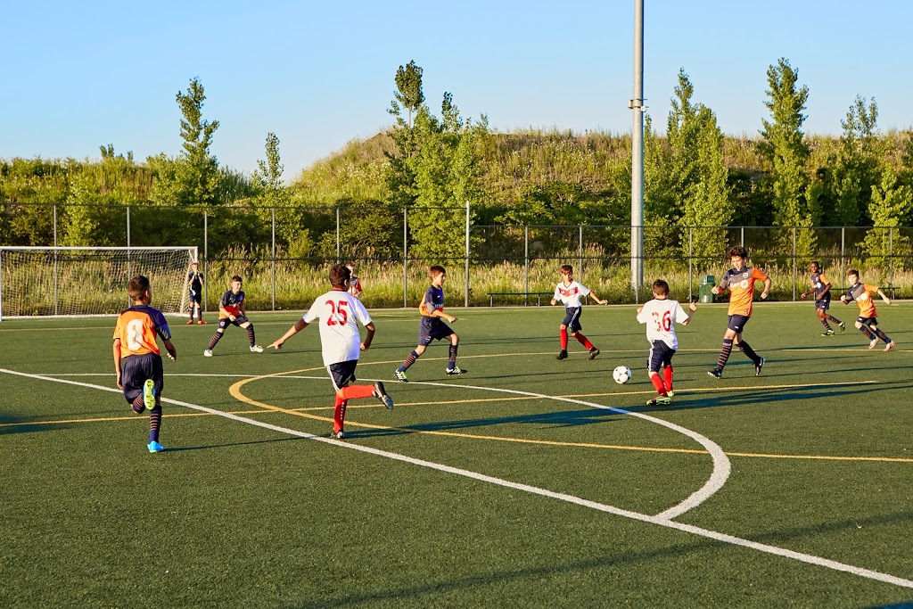 Terrain de soccer synthétique du parc Roger-Rousseau | Chemin Roger-Rousseau, Anjou, QC H1K 5B9, Canada | Phone: (514) 252-8601