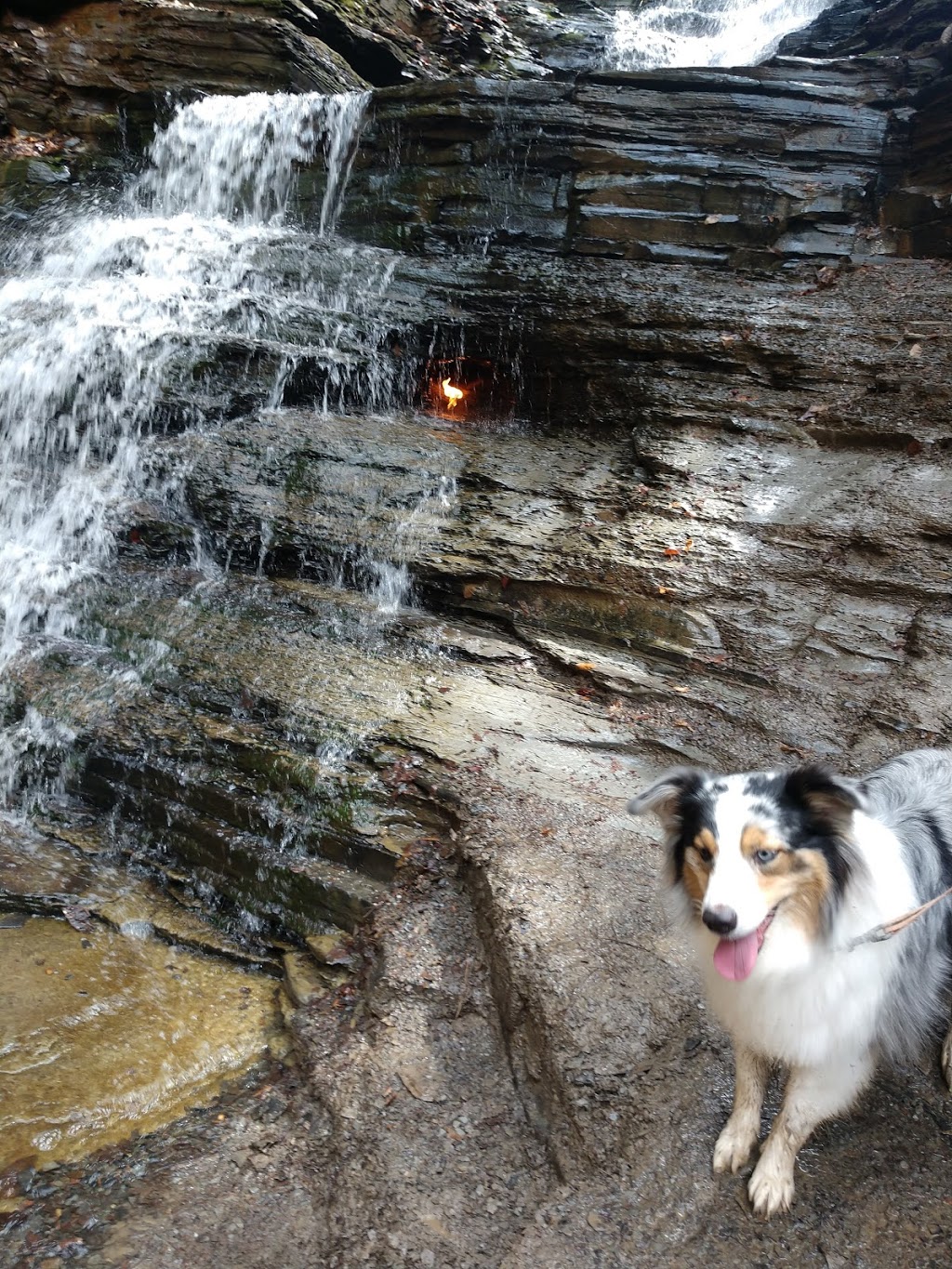 Eternal Flame | Eternal Flame, Orchard Park, NY 14127, USA