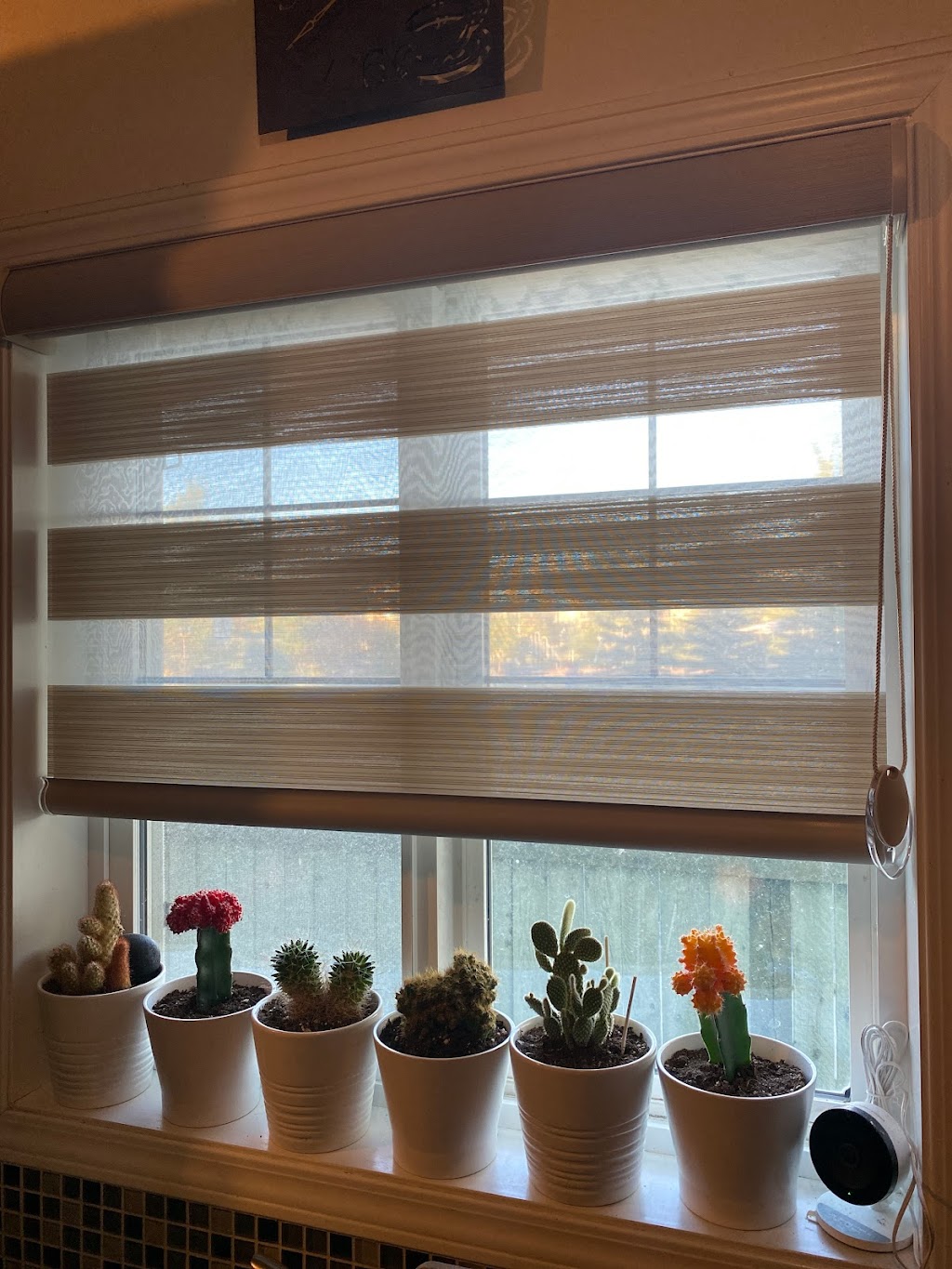 Blinds by Jen | Edgemont, Edmonton, AB T6M 0W2, Canada | Phone: (780) 915-6629