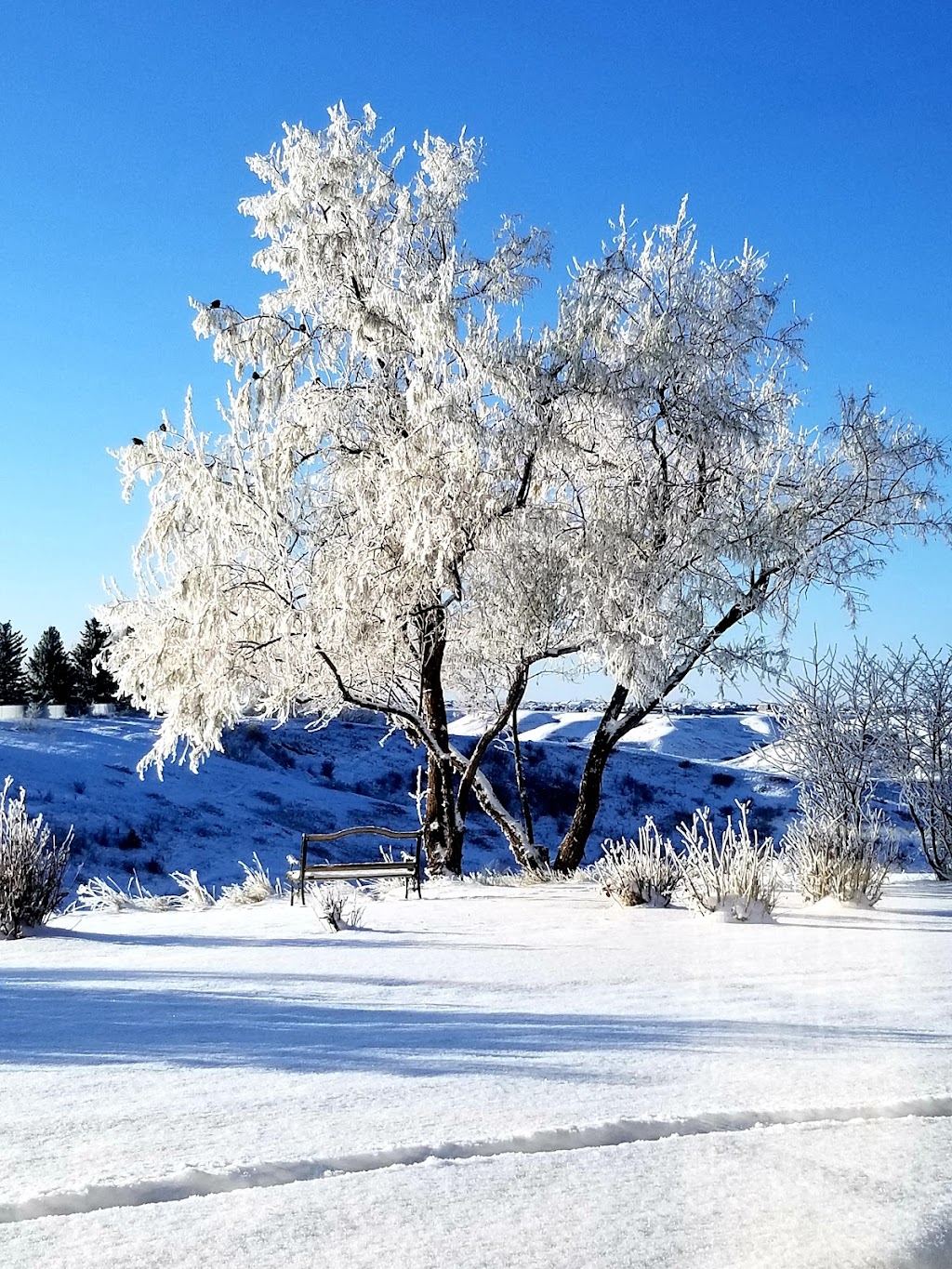 Martha Retreat Centre | 1130 Scenic Dr S, Lethbridge, AB T1K 7J1, Canada | Phone: (403) 328-3422