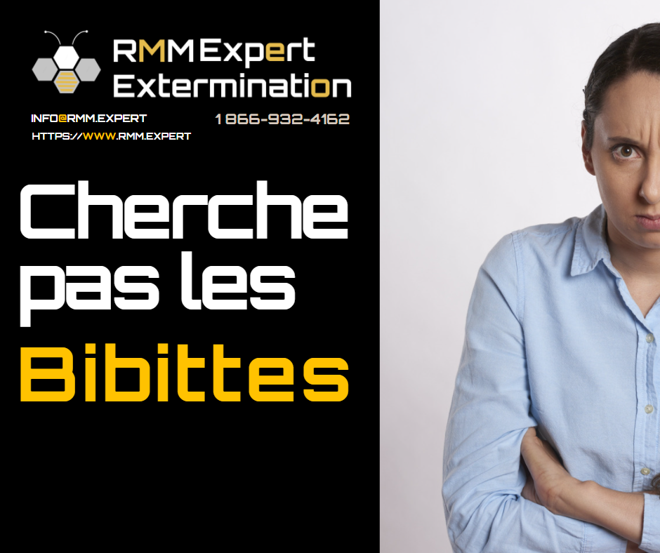 RMM Expert Extermination | 16 Rue du Boisé Normand, Sainte-Anne-des-Plaines, QC J0N 1H0, Canada | Phone: (866) 932-4162