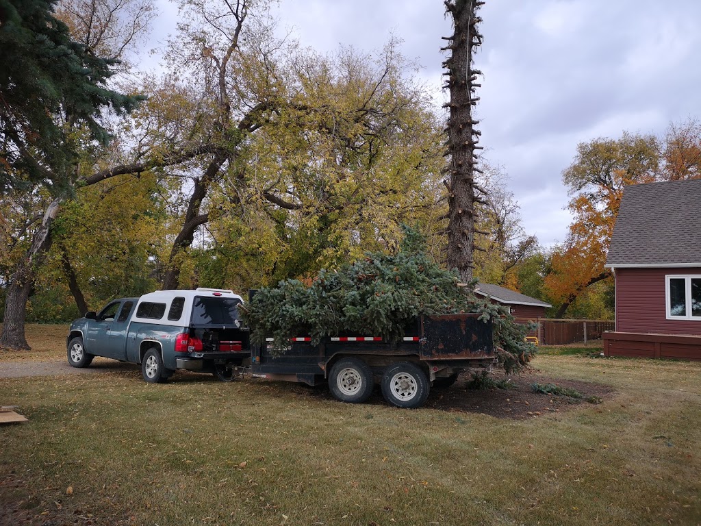 Big Es Tree removal Winkler, MB | 1382 Southview Dr, Winkler, MB R6W 1L8, Canada | Phone: (431) 998-5167